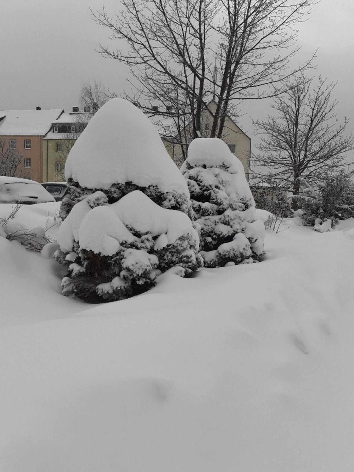 Ferienwohnung Zern โยฮันเกออร์เงินชตัดท์ ภายนอก รูปภาพ
